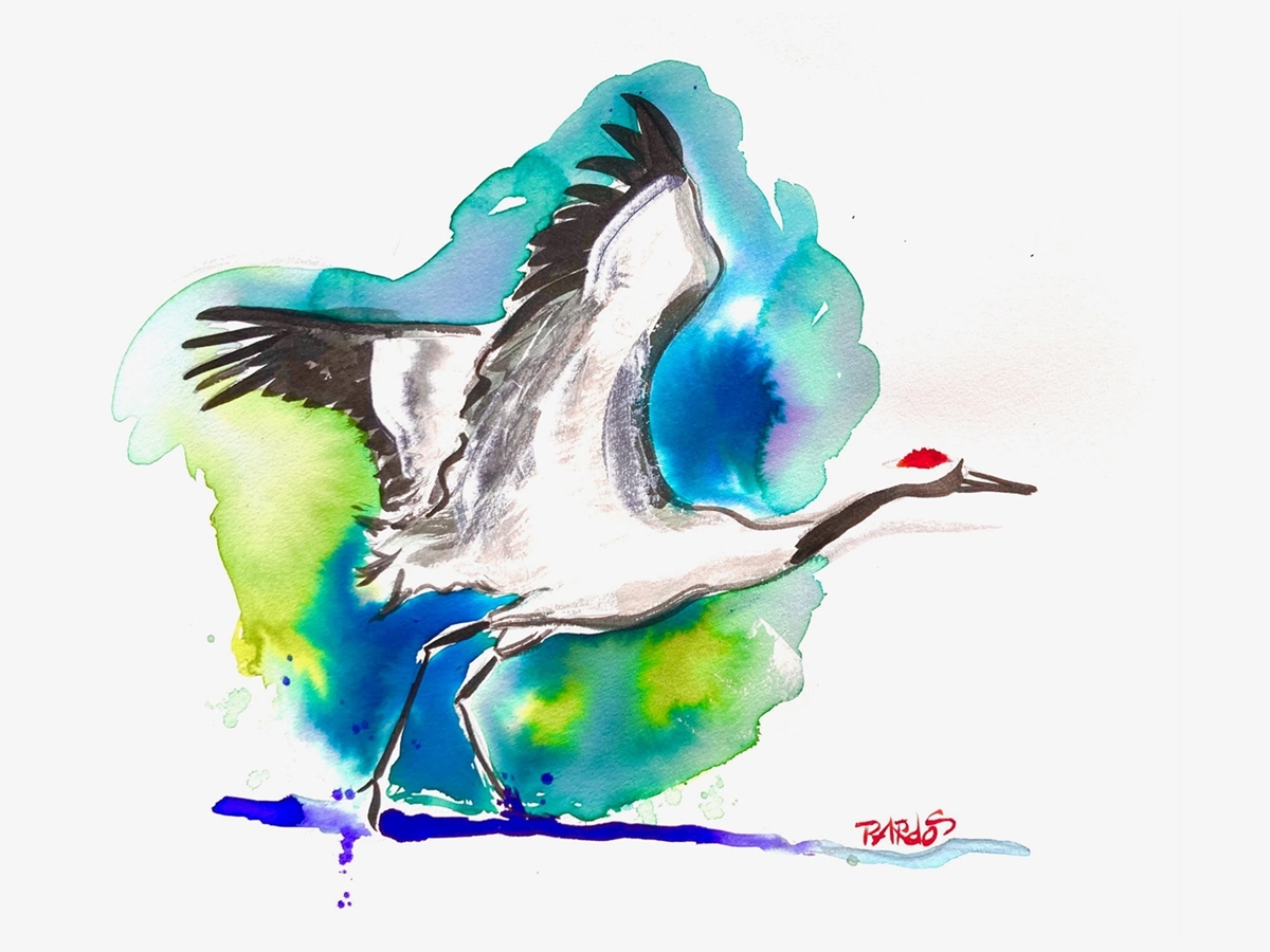 Ambientación lagunar