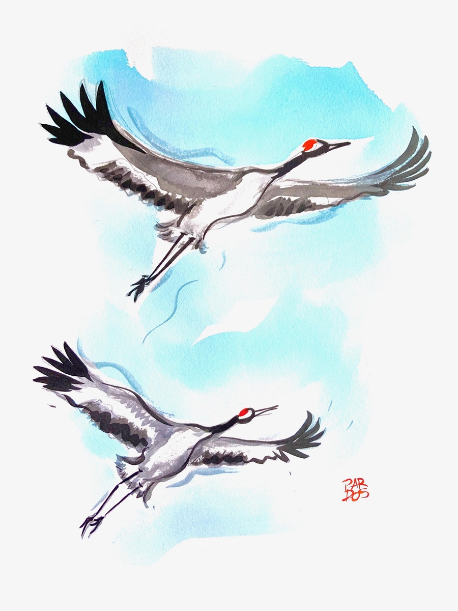 Dos grullas en vuelo y planeo