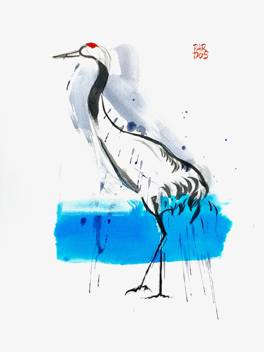 Grulla desperezándose