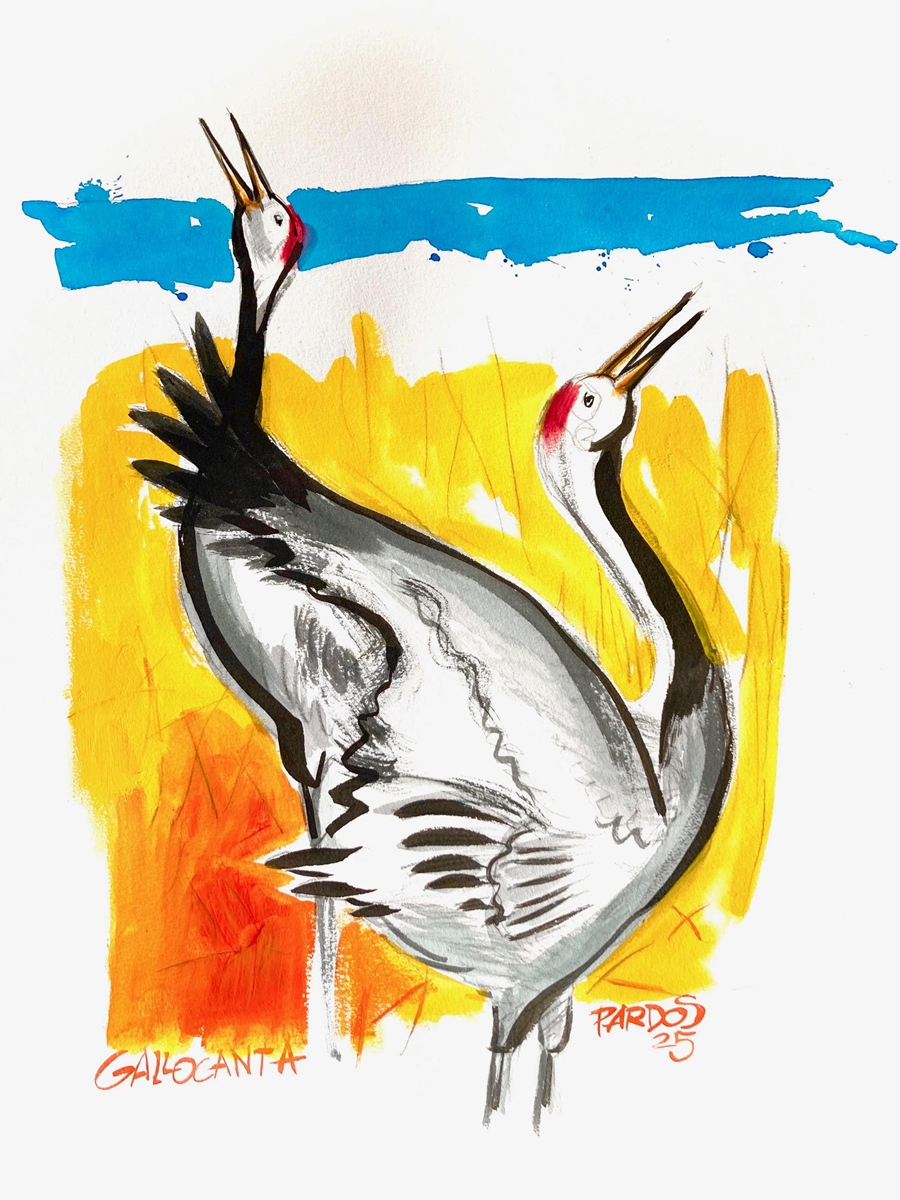 Vibración de color en el canto de dos grullas