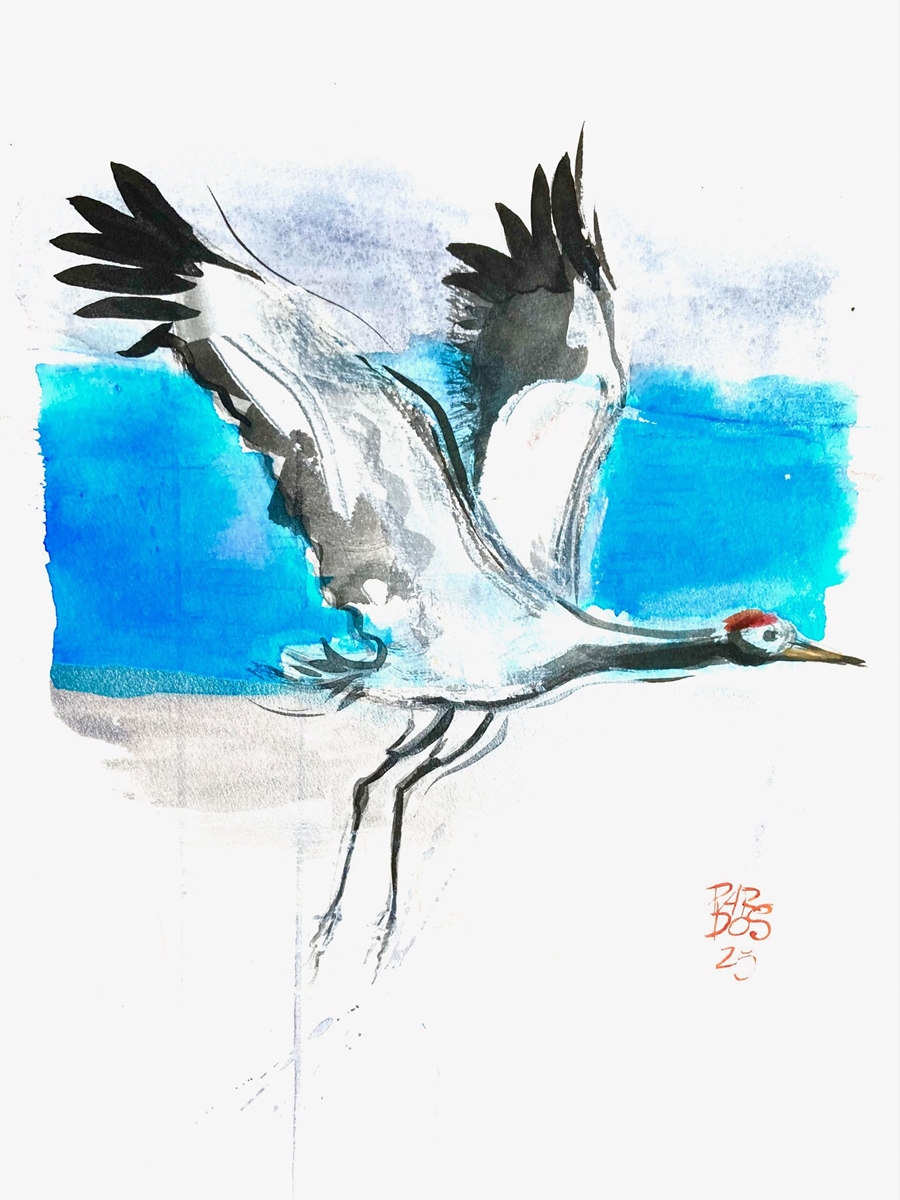 Salida del dormidero