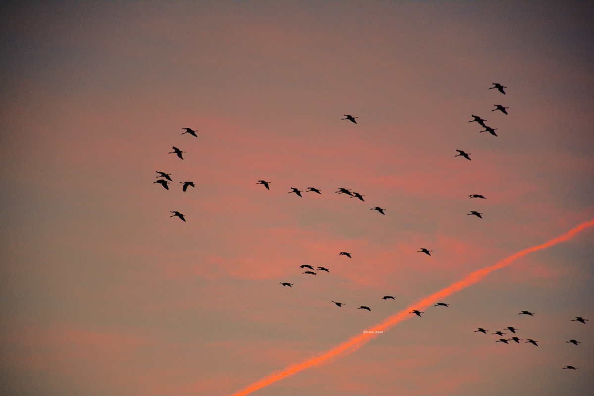 Anochecer en la Laguna de Gallocanta. Foto: Ángela Ibáñez