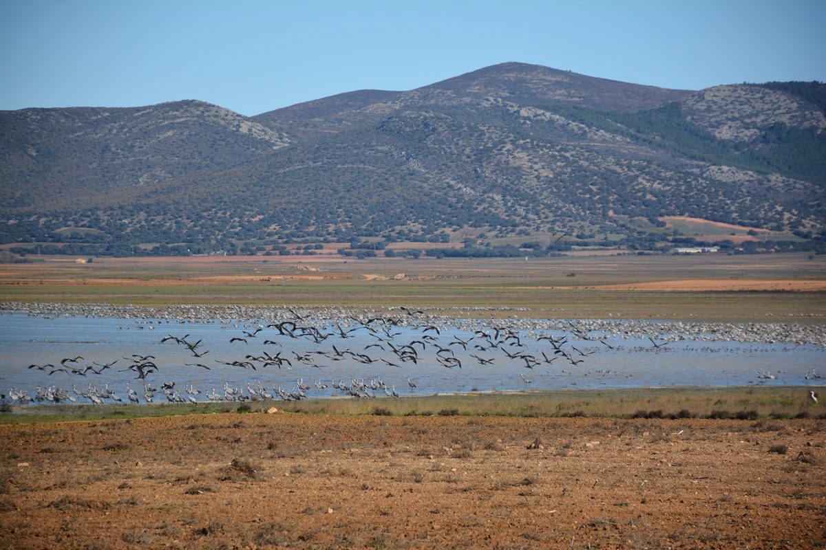 Un tesoro de la naturaleza. Foto: Ángela Ibáñez