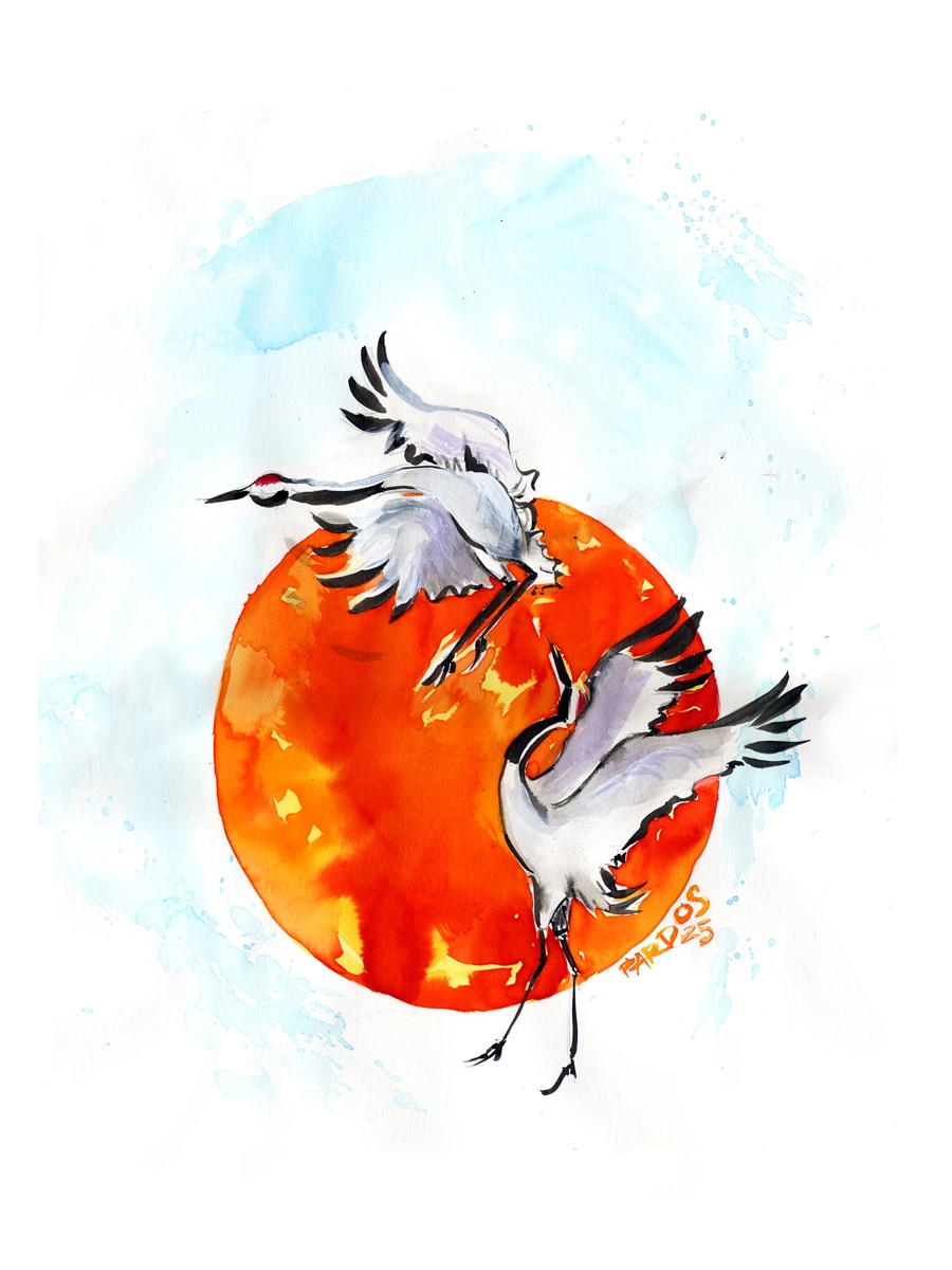 Atardecer lento e intenso